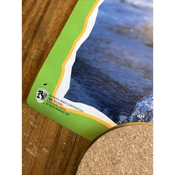 Sunny WWF Poster 16" x 20" Wrestling - Picture 6 of 7